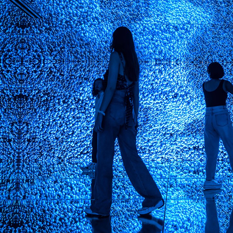 Visitors inside a room at Dreams, Mexico City